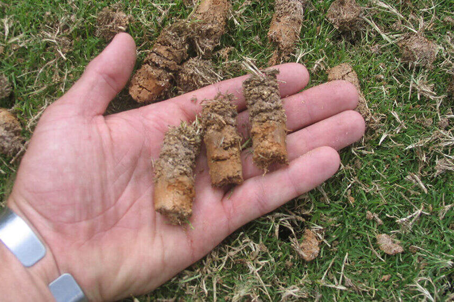 What is Lawn Aeration?