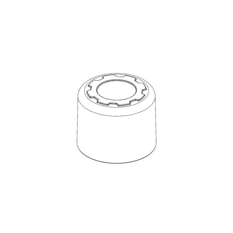Cap, Dust