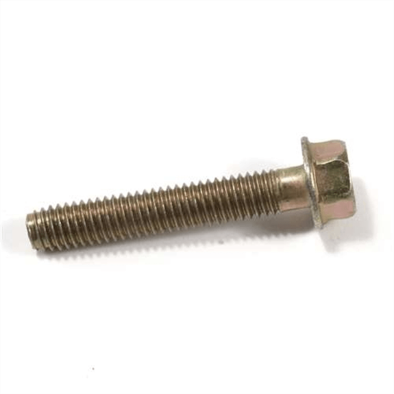 Screw