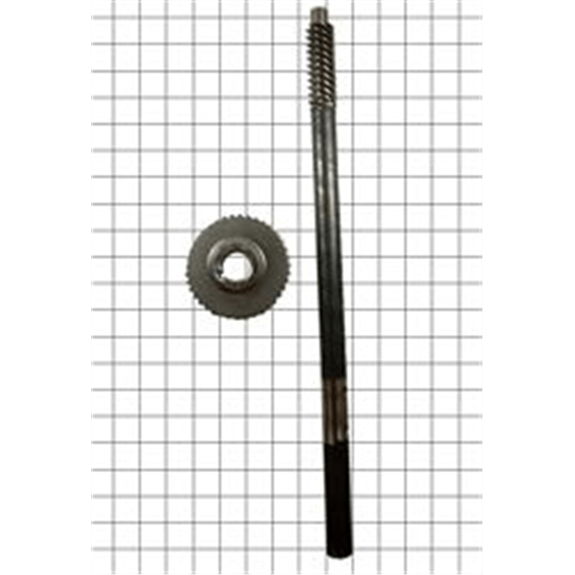 Assy, Worm Shaft & Gear