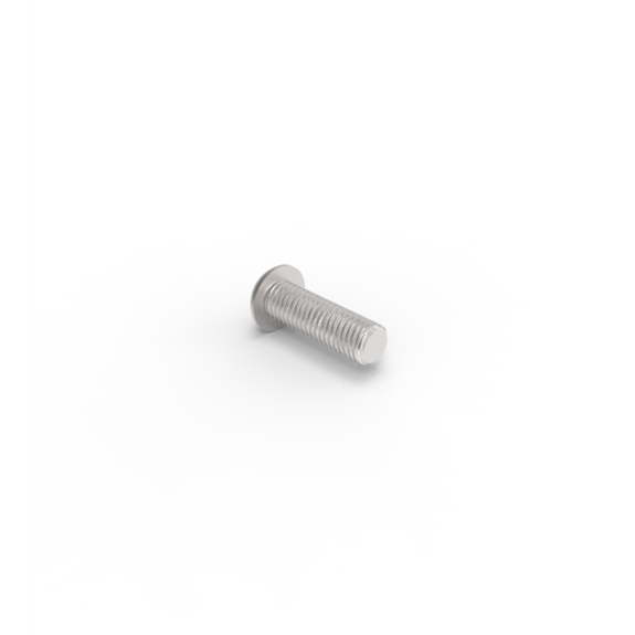 5/16 in x 1 in Stainless Steel Button Head Screw