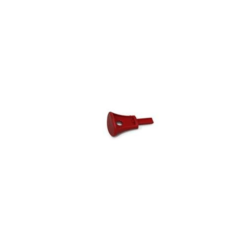 Subaru Engine Key