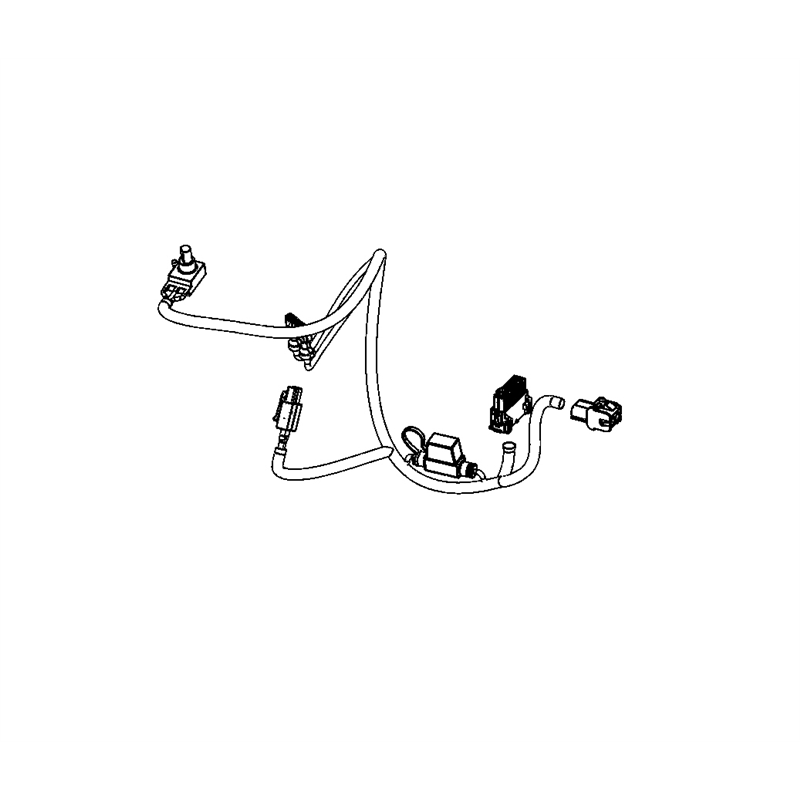 Harness,wire - Efi Ecu