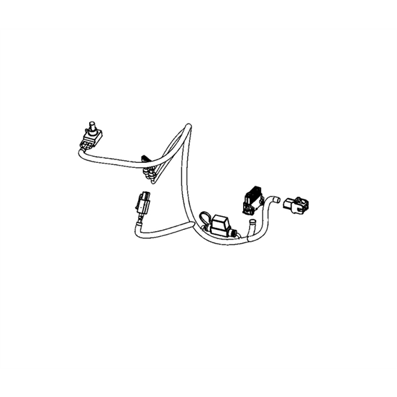 Harness,wire - Efi Ecu