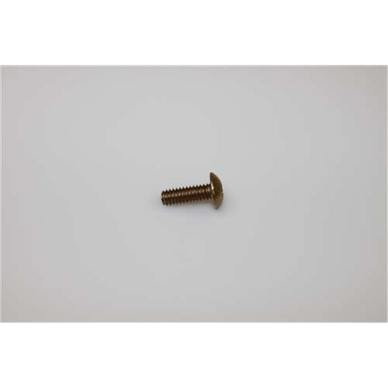 Ariens Screw-machine .25-20 X .75