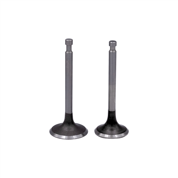 Valve Set - PLATINUM