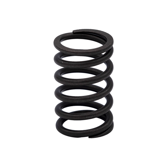 Valve Spring - DELUXE