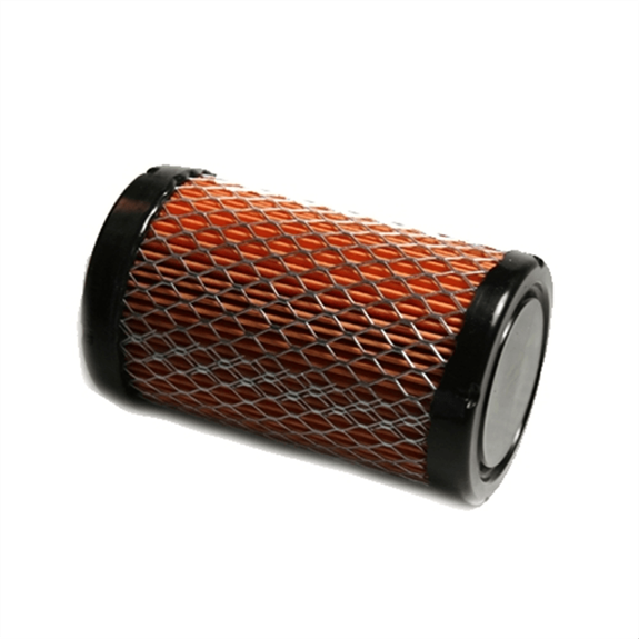 Briggs & Stratton Air Filter
