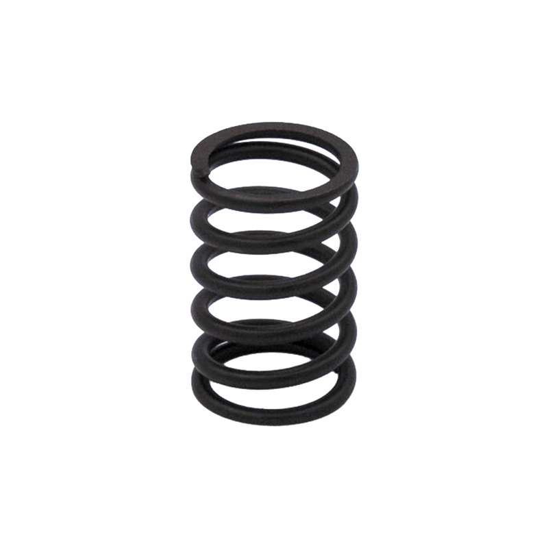 Valve Spring - PLATINUM / PRO