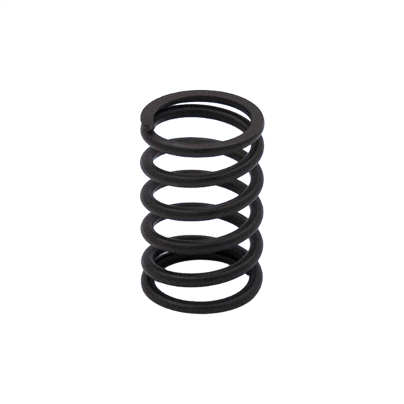 Valve Spring - PLATINUM / PRO