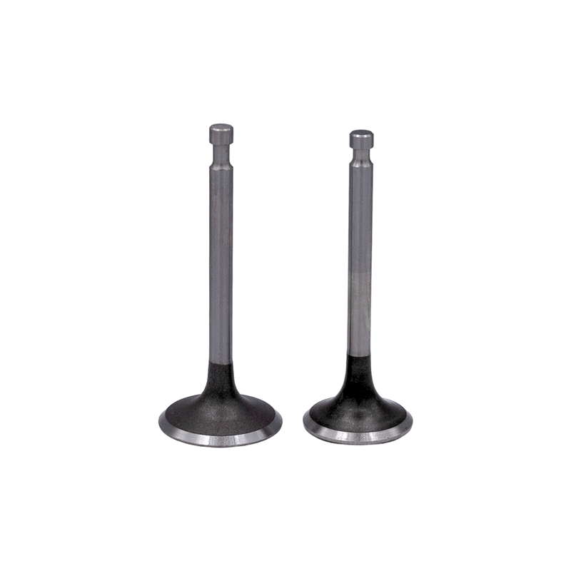 Valve Set - PLATINUM