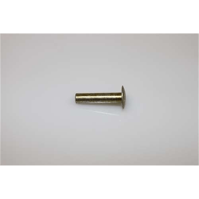 Ariens Sno-thro Rivet .25 X 1.13 Truss Head