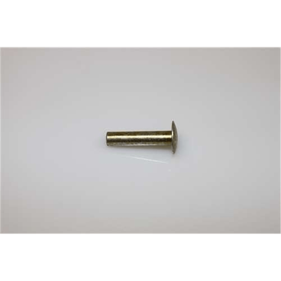 Ariens Sno-thro Rivet .25 X 1.13 Truss Head