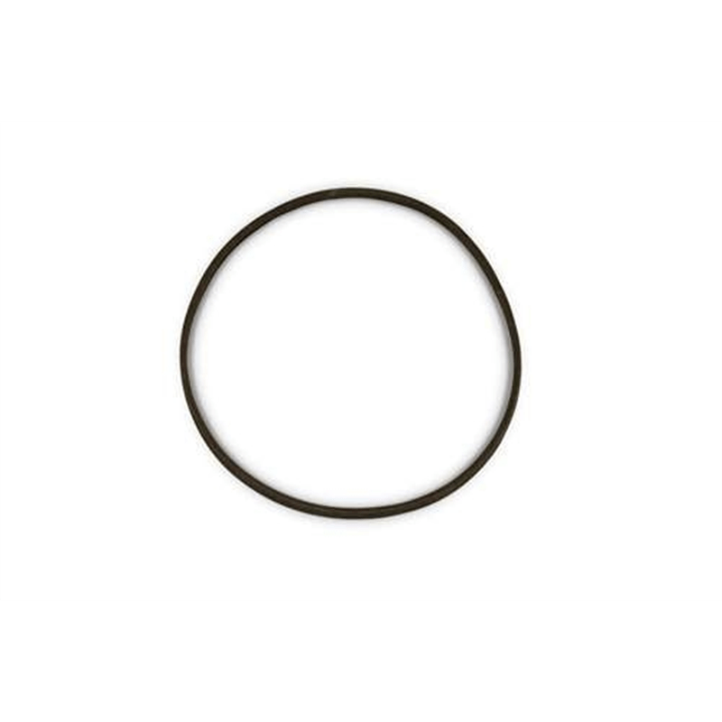 Traction V-Belt