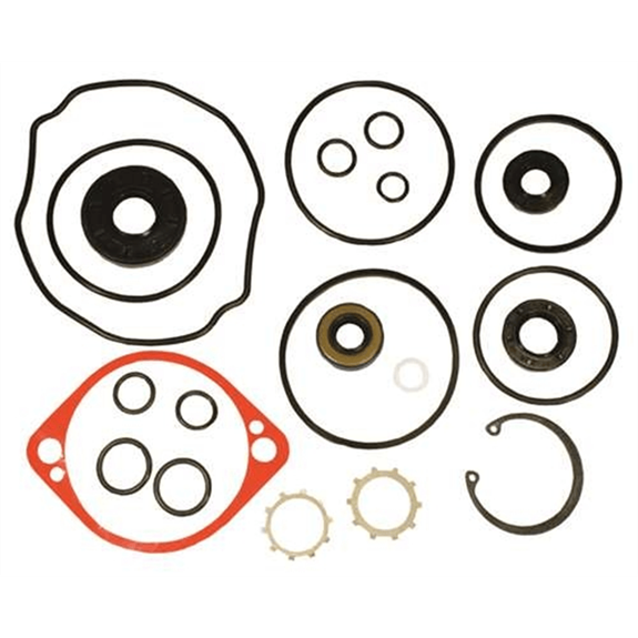 Hydro-Gear PG Series Full Pump Overhaul Seal Kit