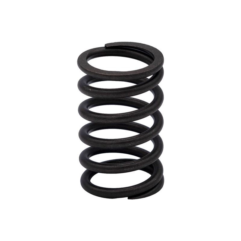 Valve Spring - DELUXE