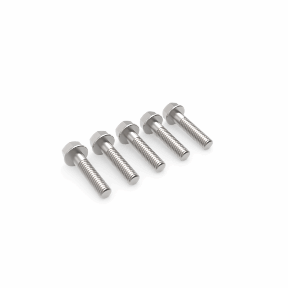 Ariens Sno Thro Crankcase Cover Bolt Kit