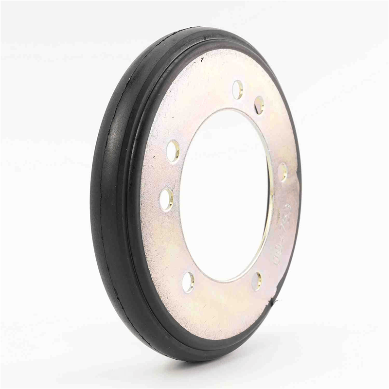 Friction Disc