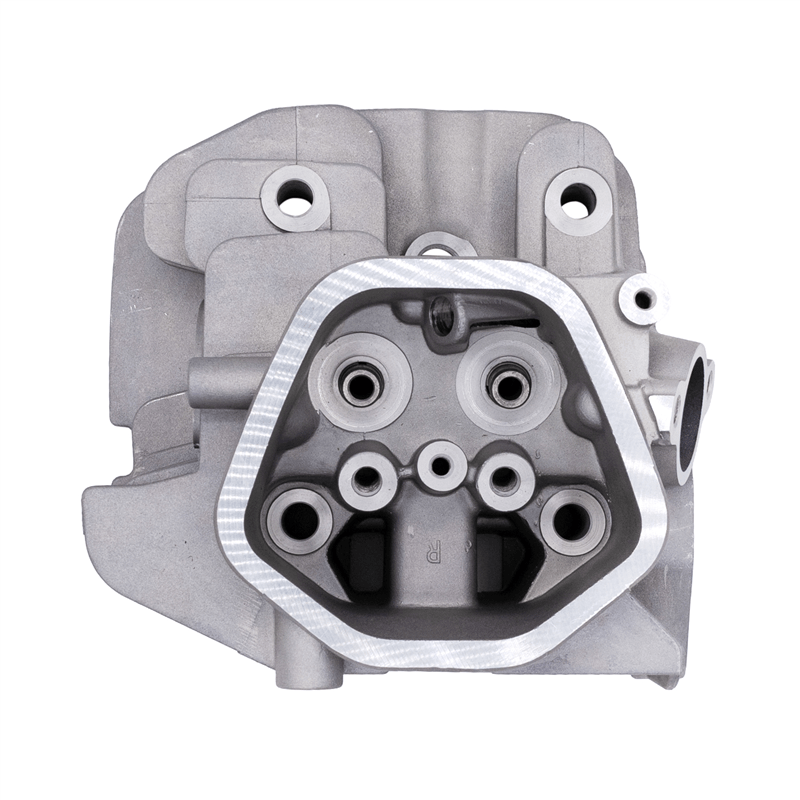 Cylinder Head Sub Assembly - PLATINUM