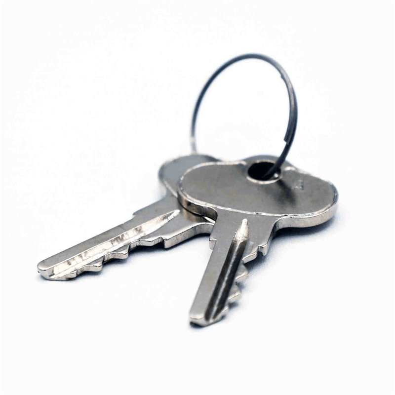 Ariens Zero Turn Mower Ignition Key Set