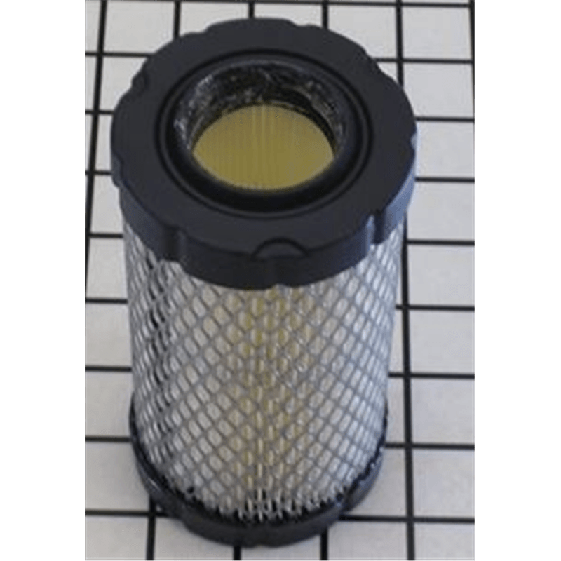 Briggs & Stratton Air Filter