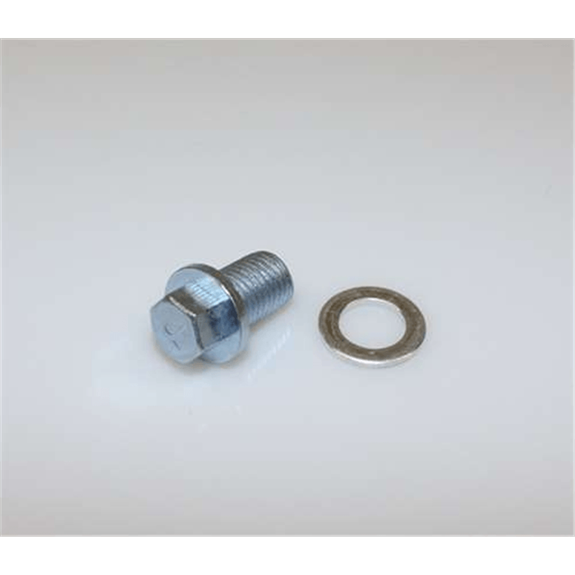 Oil Drain Plug (w/washer)